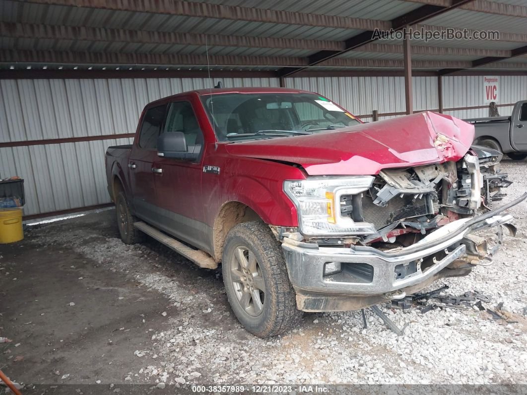 2019 Ford F-150 Xlt Red vin: 1FTEW1E5XKKC68060