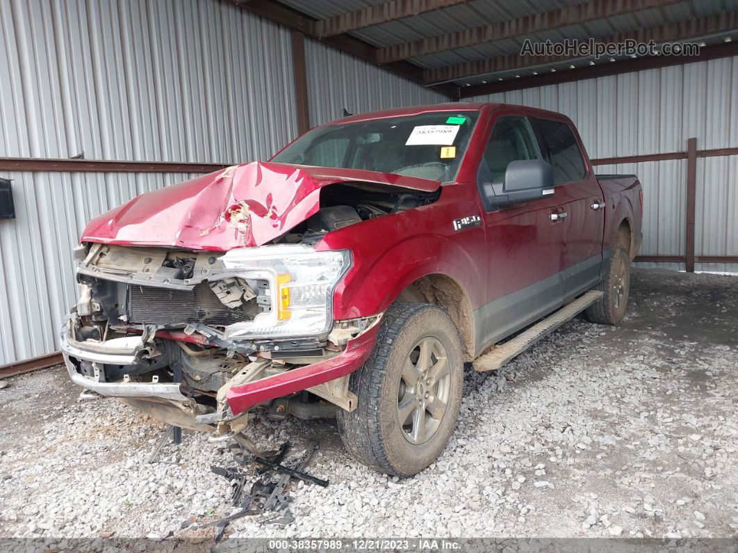 2019 Ford F-150 Xlt Red vin: 1FTEW1E5XKKC68060