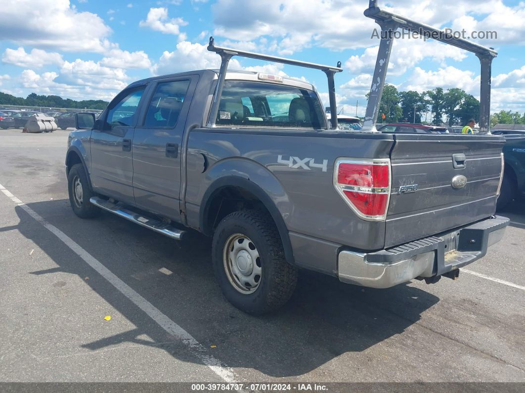 2010 Ford F-150 Xl/xlt Gray vin: 1FTEW1E80AFA40845