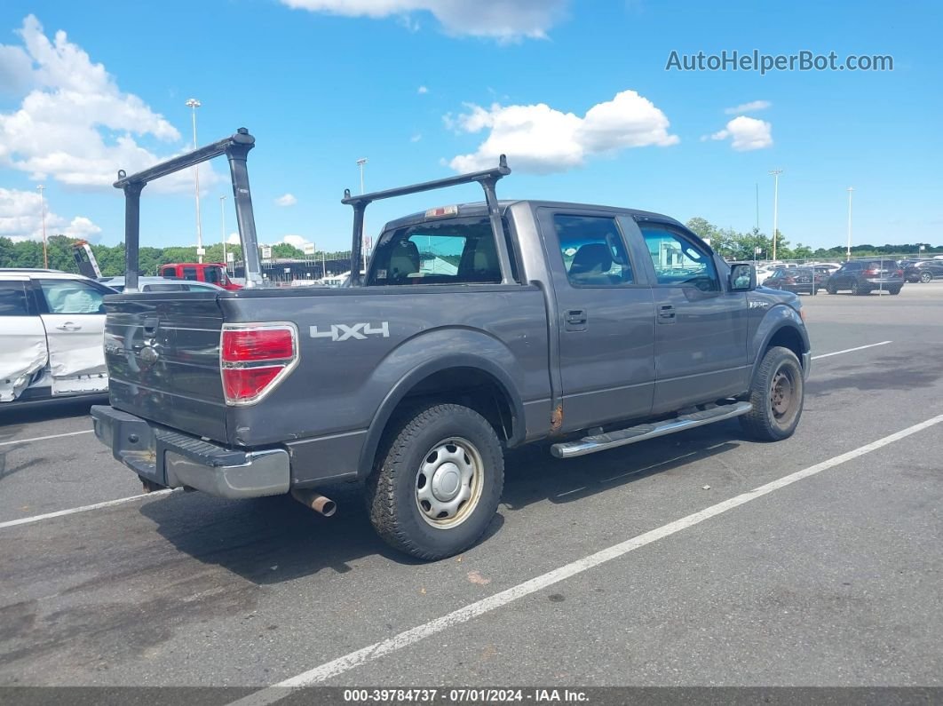 2010 Ford F-150 Xl/xlt Gray vin: 1FTEW1E80AFA40845