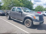 2010 Ford F-150 Xl/xlt Gray vin: 1FTEW1E80AFA40845