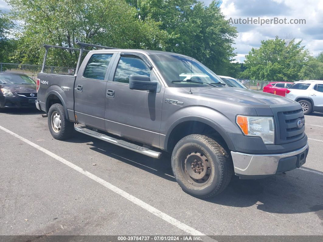 2010 Ford F-150 Xl/xlt Gray vin: 1FTEW1E80AFA40845