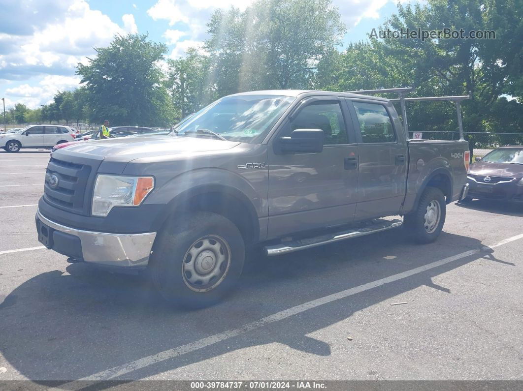 2010 Ford F-150 Xl/xlt Gray vin: 1FTEW1E80AFA40845