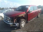2017 Ford F-150 Xl/xlt Red vin: 1FTEW1E81HFC12097