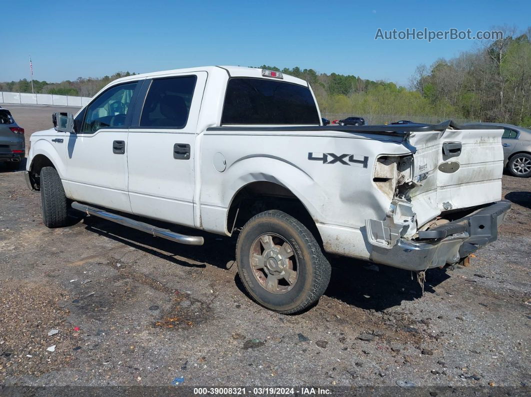 2010 Ford F-150 Xl/xlt White vin: 1FTEW1E82AFD30102