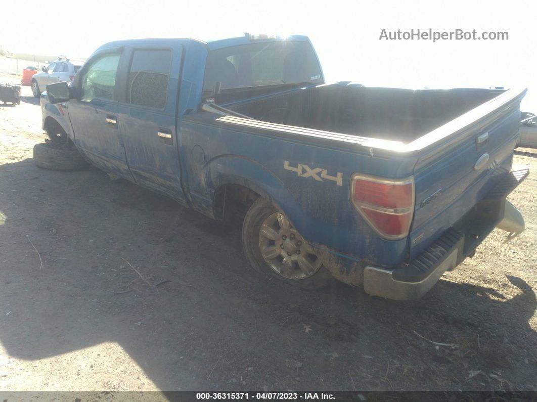 2010 Ford F-150 Xl/xlt Blue vin: 1FTEW1E82AFD77548