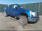 2010 Ford F-150 Xl/xlt Синий vin: 1FTEW1E82AFD77548