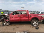 2010 Ford F-150 Xl/xlt Красный vin: 1FTEW1E83AKB04416