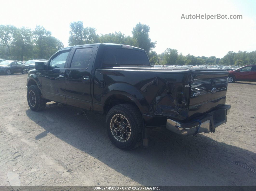 2010 Ford F-150 Xl/xlt Черный vin: 1FTEW1E84AFD81343