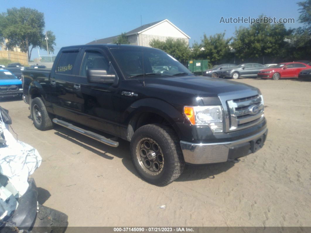 2010 Ford F-150 Xl/xlt Black vin: 1FTEW1E84AFD81343