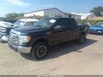 2010 Ford F-150 Xl/xlt Black vin: 1FTEW1E84AFD81343