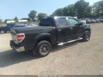 2010 Ford F-150 Xl/xlt Черный vin: 1FTEW1E84AFD81343