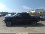 2010 Ford F-150 Xl/xlt Black vin: 1FTEW1E84AFD81343