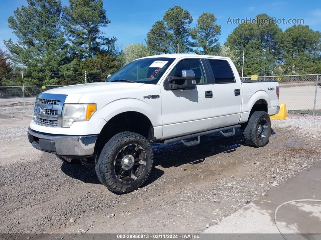 2010 Ford F-150 Xl/xlt White vin: 1FTEW1E86AFB37922