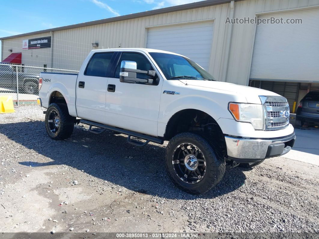 2010 Ford F-150 Xl/xlt White vin: 1FTEW1E86AFB37922