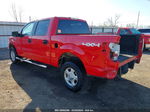 2010 Ford F-150 Xl/xlt Красный vin: 1FTEW1E86AKE23955