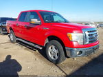 2010 Ford F-150 Xl/xlt Красный vin: 1FTEW1E86AKE23955