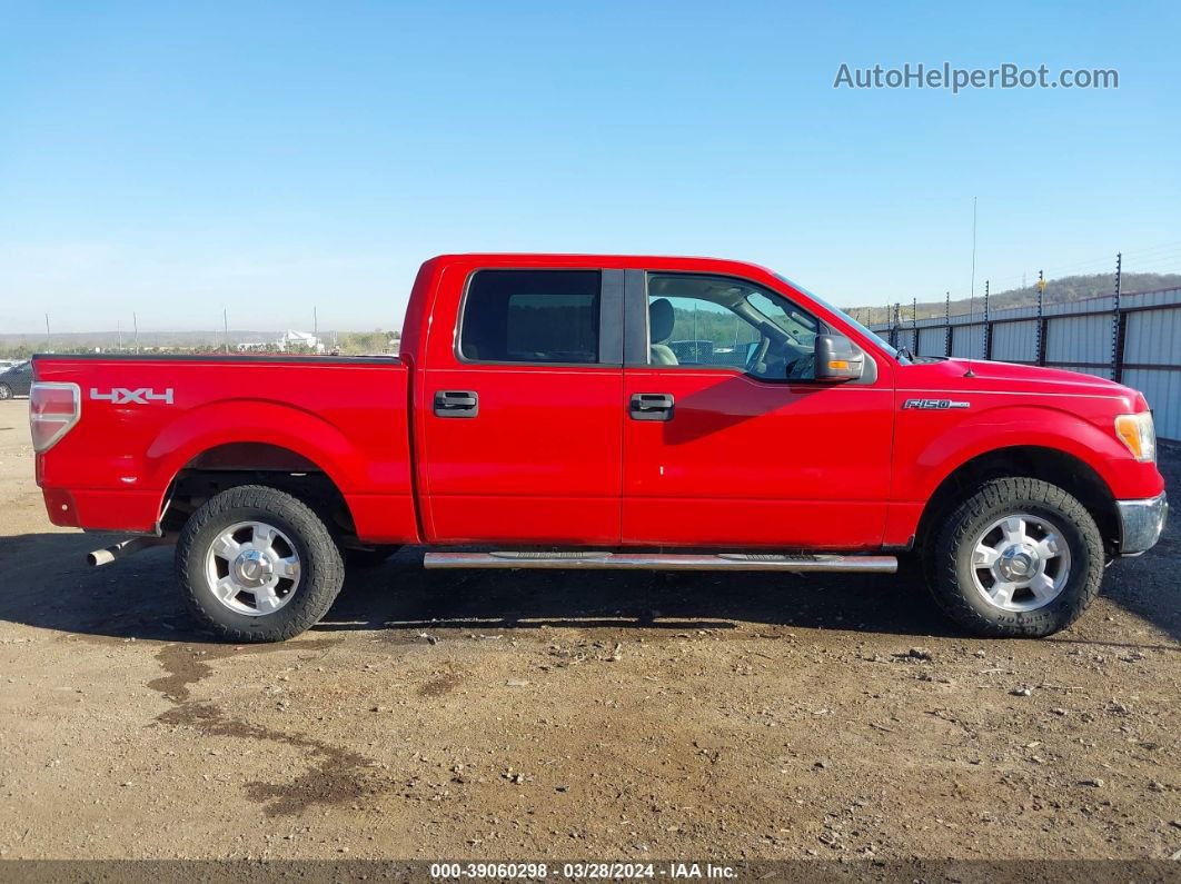 2010 Ford F-150 Xl/xlt Красный vin: 1FTEW1E86AKE23955