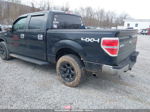 2010 Ford F-150 Xl/xlt Black vin: 1FTEW1E87AFA93865