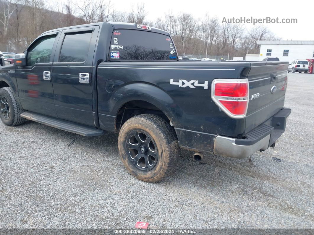 2010 Ford F-150 Xl/xlt Черный vin: 1FTEW1E87AFA93865