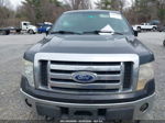 2010 Ford F-150 Xl/xlt Черный vin: 1FTEW1E87AFA93865