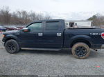 2010 Ford F-150 Xl/xlt Черный vin: 1FTEW1E87AFA93865