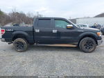 2010 Ford F-150 Xl/xlt Black vin: 1FTEW1E87AFA93865