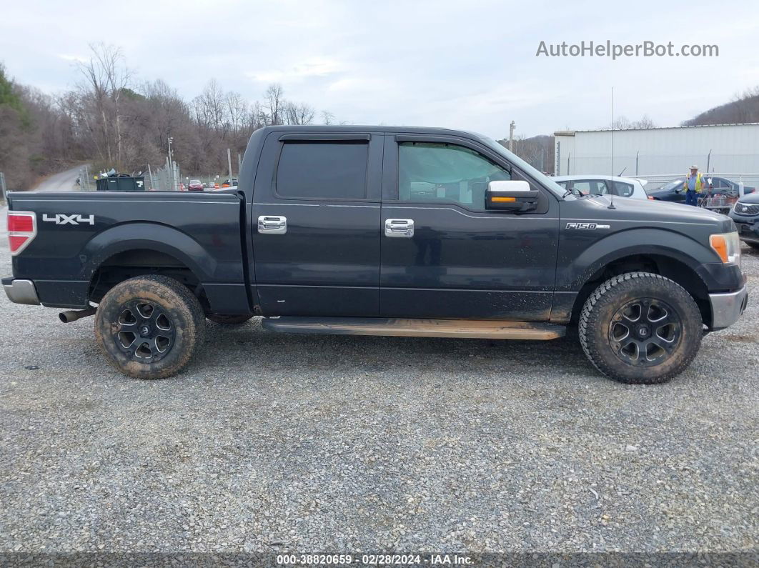 2010 Ford F-150 Xl/xlt Черный vin: 1FTEW1E87AFA93865