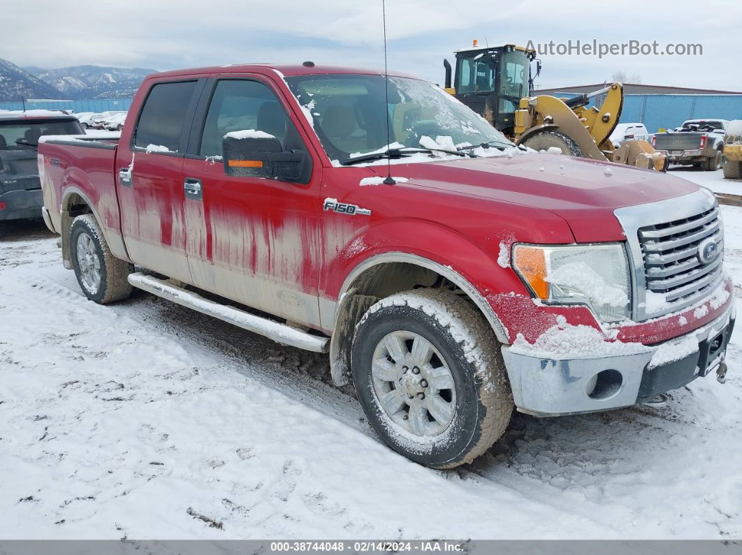 2010 Ford F-150 Xlt Red vin: 1FTEW1E87AFB80472