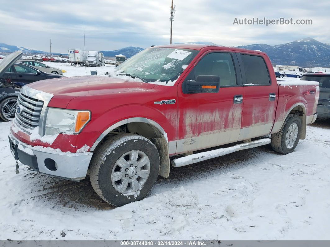 2010 Ford F-150 Xlt Red vin: 1FTEW1E87AFB80472