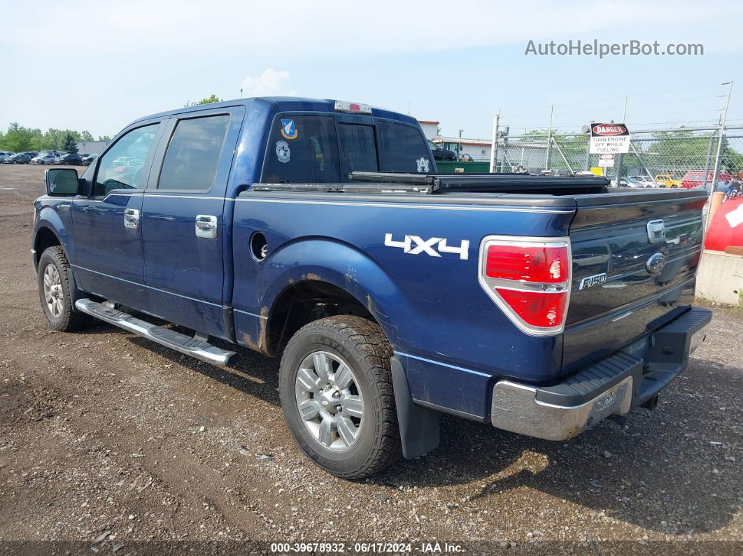 2010 Ford F-150 Xl/xlt Blue vin: 1FTEW1E88AFA36154