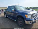 2010 Ford F-150 Xl/xlt Blue vin: 1FTEW1E88AFA36154