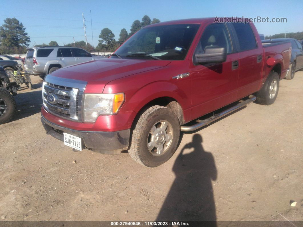 2010 Ford F-150 Xl/xlt Красный vin: 1FTEW1E89AFB02193