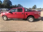 2010 Ford F-150 Xl/xlt Red vin: 1FTEW1E89AFB02193