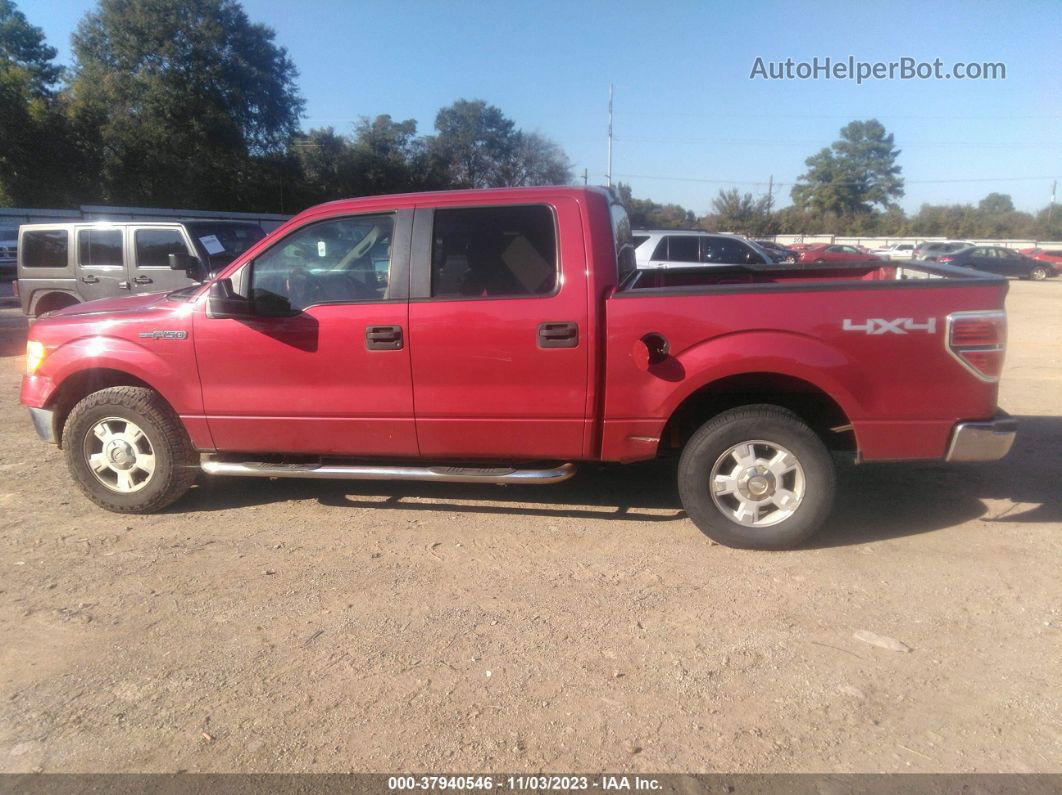 2010 Ford F-150 Xl/xlt Red vin: 1FTEW1E89AFB02193