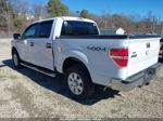 2010 Ford F-150 Xl/xlt White vin: 1FTEW1E89AFD41839