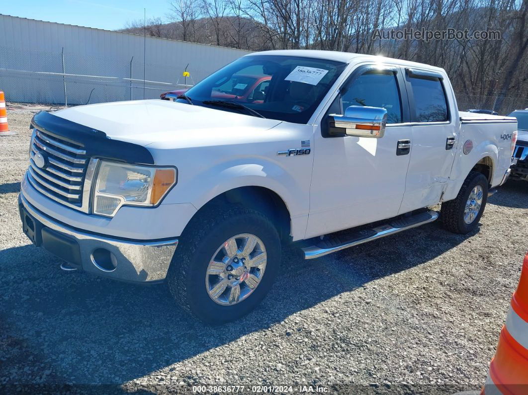 2010 Ford F-150 Xl/xlt White vin: 1FTEW1E89AFD41839