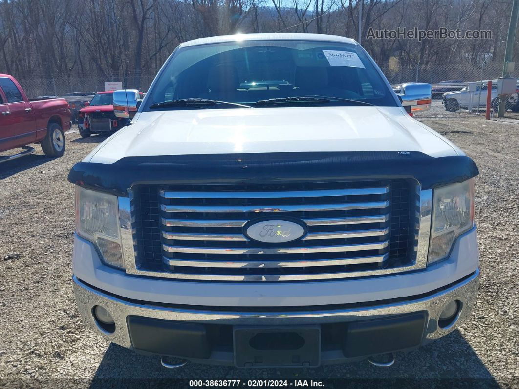 2010 Ford F-150 Xl/xlt White vin: 1FTEW1E89AFD41839