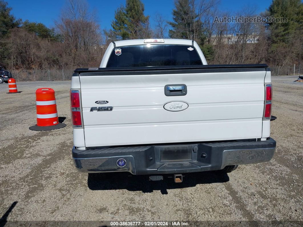 2010 Ford F-150 Xl/xlt White vin: 1FTEW1E89AFD41839