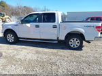 2010 Ford F-150 Xl/xlt White vin: 1FTEW1E89AFD41839