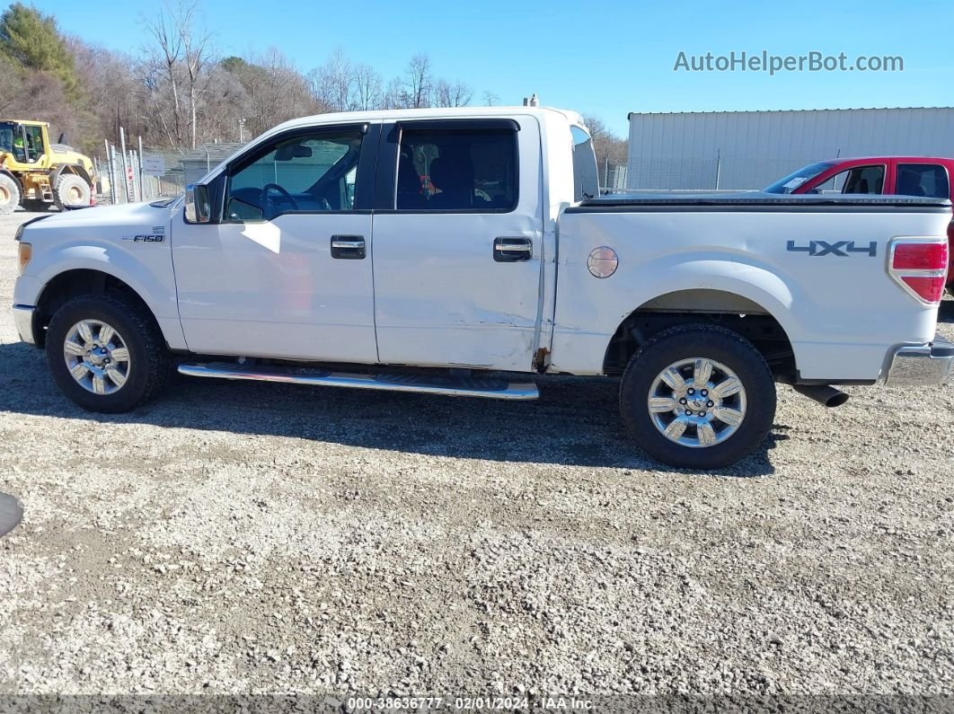 2010 Ford F-150 Xl/xlt White vin: 1FTEW1E89AFD41839