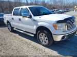 2010 Ford F-150 Xl/xlt White vin: 1FTEW1E89AFD41839