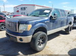 2010 Ford F-150 Xl/xlt Blue vin: 1FTEW1E89AKA22660