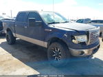 2010 Ford F-150 Xl/xlt Blue vin: 1FTEW1E89AKA22660