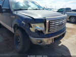 2010 Ford F-150 Xl/xlt Blue vin: 1FTEW1E89AKA22660