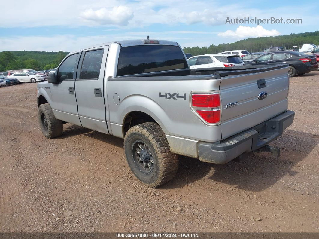 2010 Ford F-150 Xl/xlt Silver vin: 1FTEW1E8XAFA66904