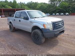 2010 Ford F-150 Xl/xlt Silver vin: 1FTEW1E8XAFA66904