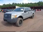 2010 Ford F-150 Xl/xlt Серебряный vin: 1FTEW1E8XAFA66904