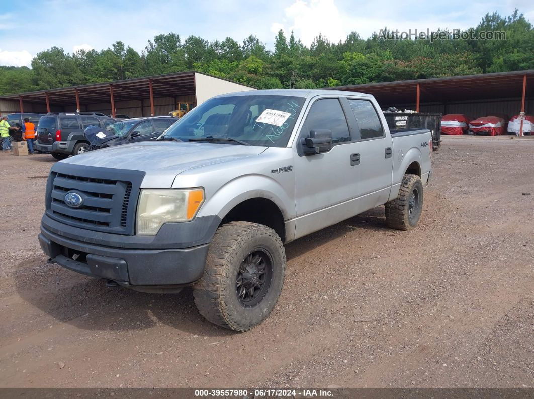 2010 Ford F-150 Xl/xlt Silver vin: 1FTEW1E8XAFA66904