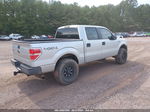 2010 Ford F-150 Xl/xlt Серебряный vin: 1FTEW1E8XAFA66904